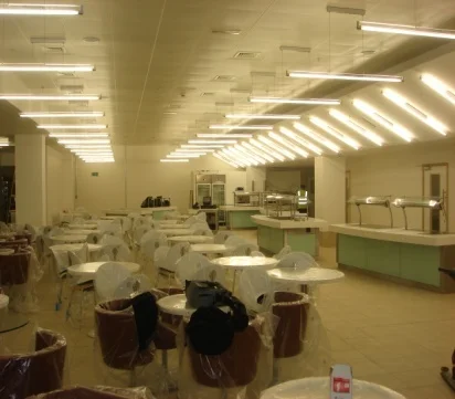 Project Zest, Terminal 5, Heathrow Airport - Image 3